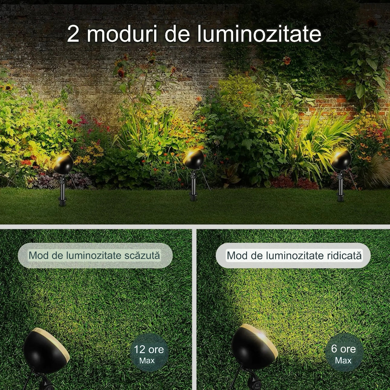 Set 4 proiectoare solare Sao Rita cu lumina calda/3000K
