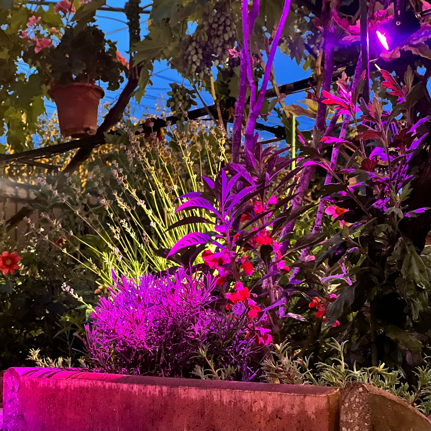 Set 2 proiectoare solare cu lumina RGB/ALB RECE/GALBENA Pessoa