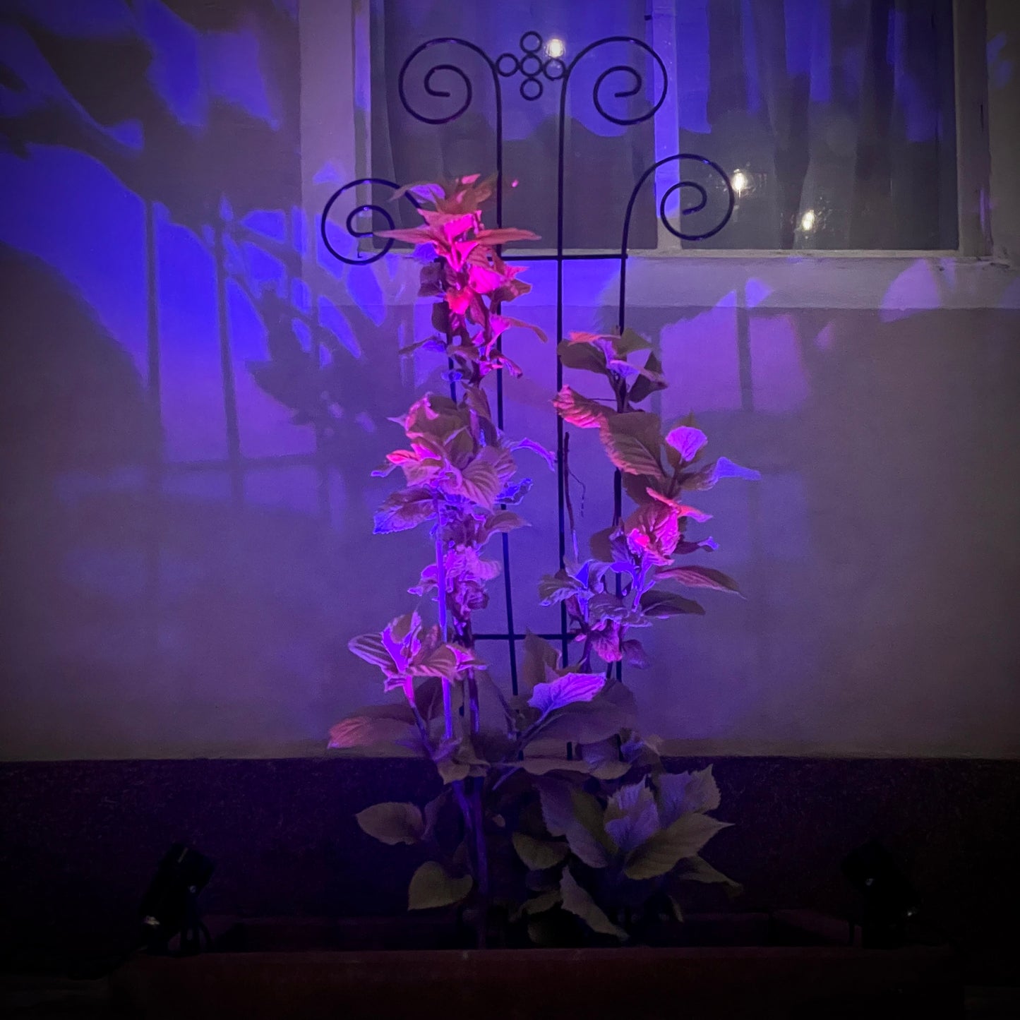 Set 2 proiectoare solare RGB Paraiso