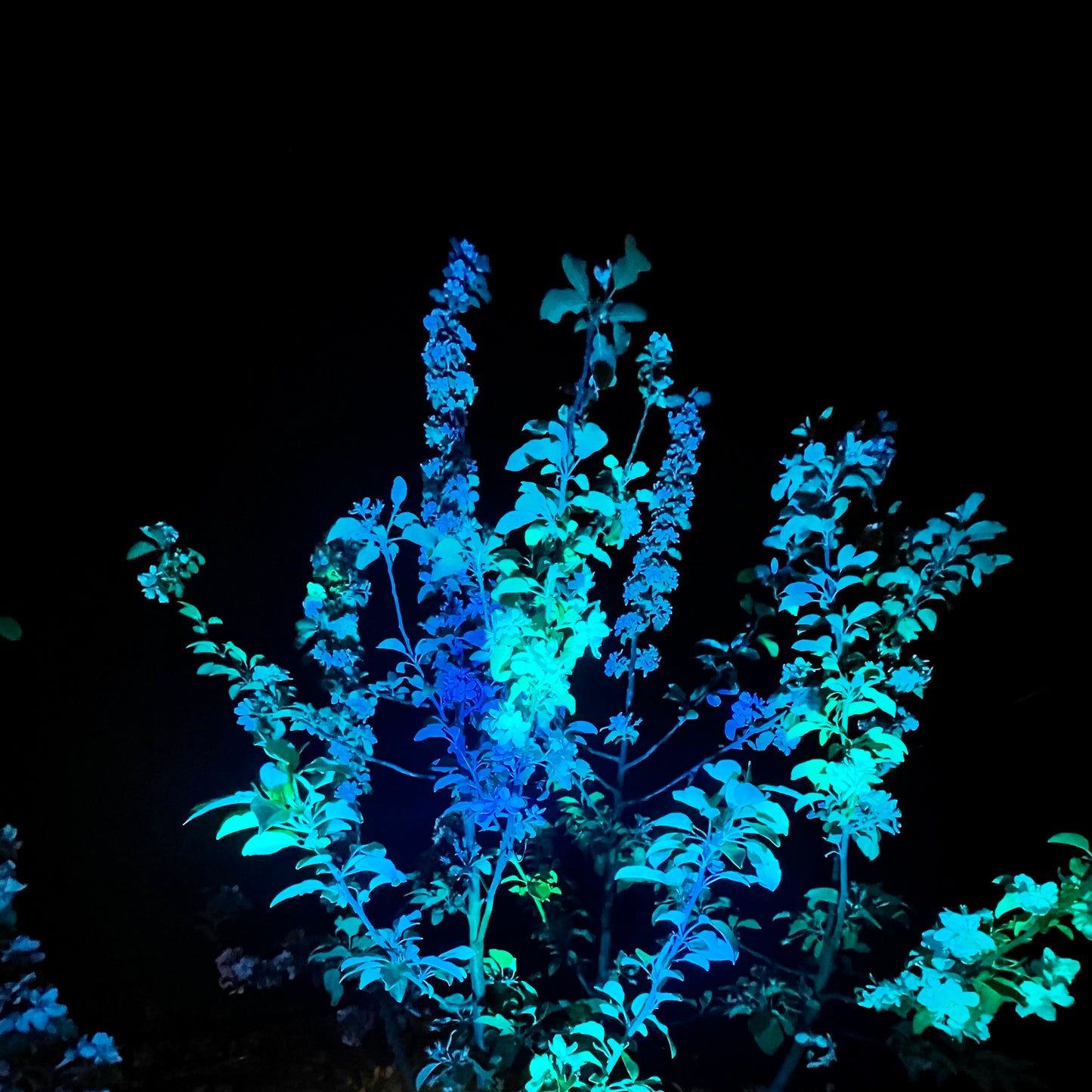 Set 2 proiectoare solare RGB Paraiso