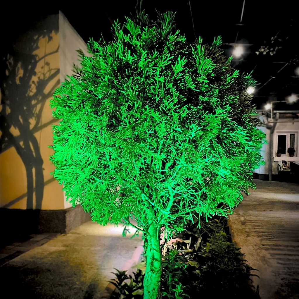 Set 2 proiectoare solare RGB Paraiso